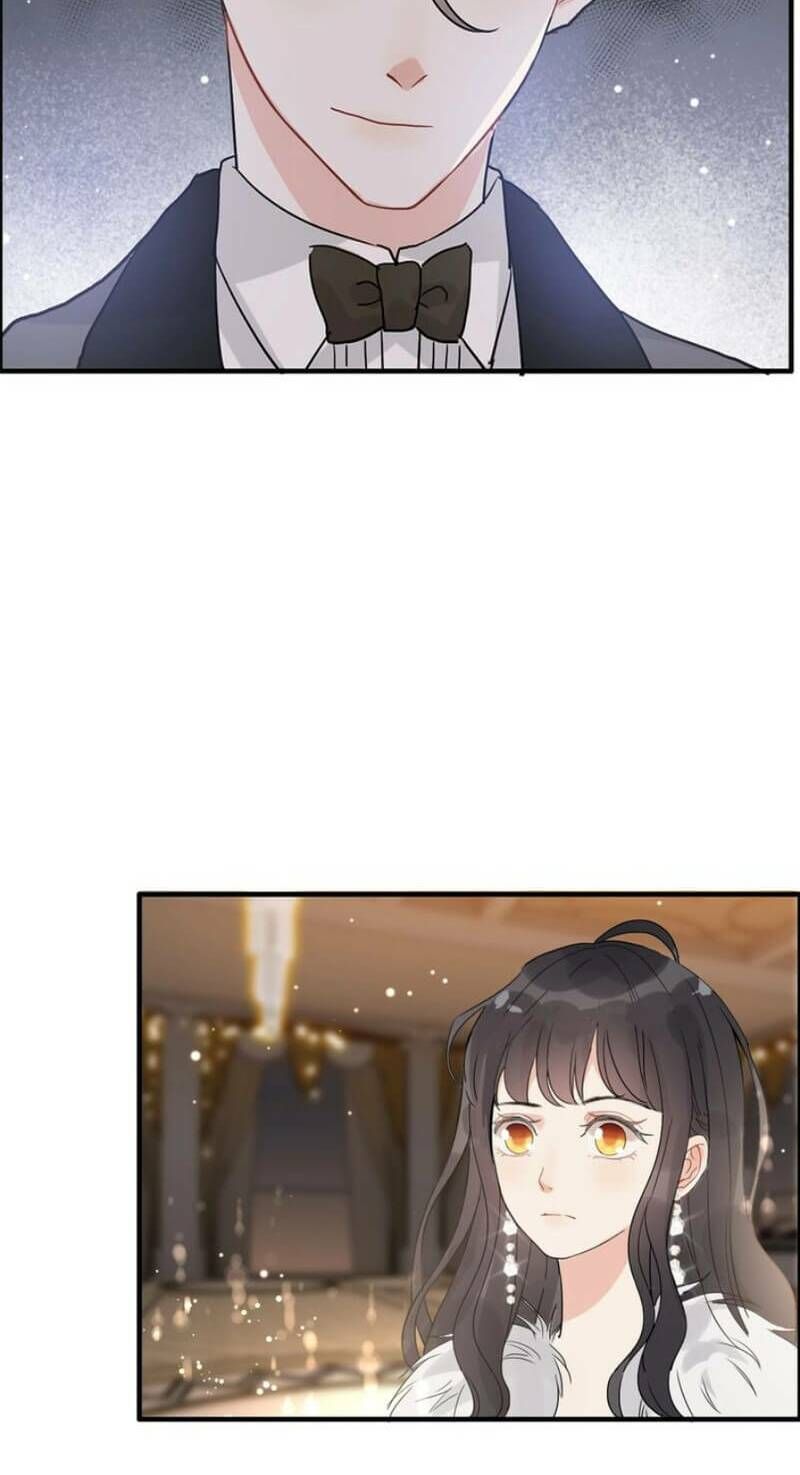 đọc truyện Cô Vợ Hợp Đồng Bỏ Trốn Của Tổng Giám Đốc Chương 229 ảnh 38 tại Thiên Thai Truyện