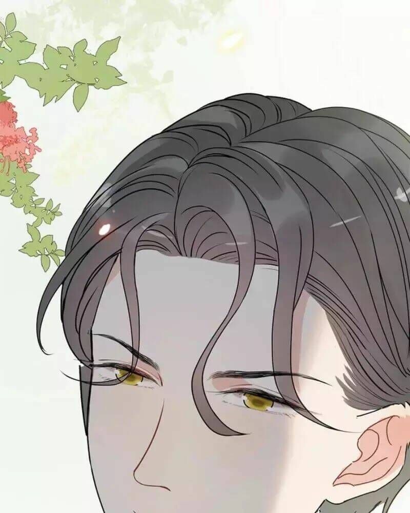 đọc truyện Cô Vợ Hợp Đồng Bỏ Trốn Của Tổng Giám Đốc Chương 230 ảnh 66 tại Thiên Thai Truyện