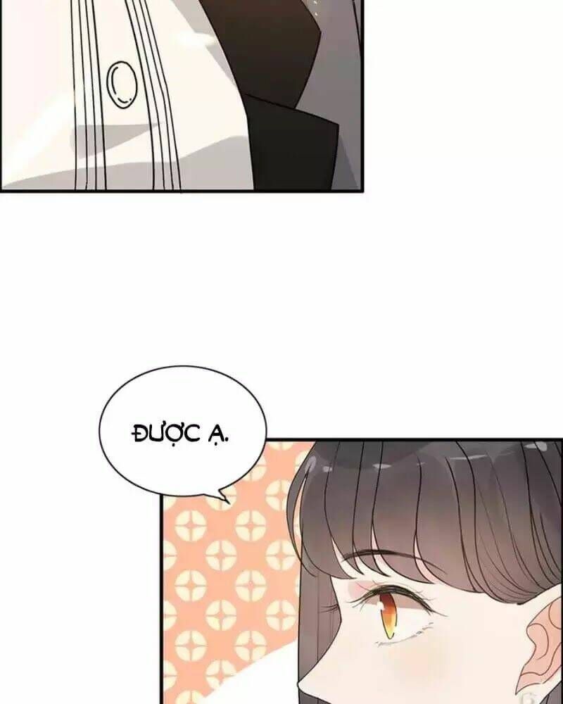 đọc truyện Cô Vợ Hợp Đồng Bỏ Trốn Của Tổng Giám Đốc Chương 231 ảnh 13 tại Thiên Thai Truyện