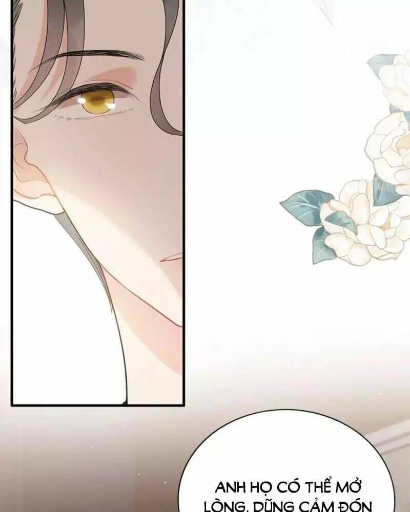 đọc truyện Cô Vợ Hợp Đồng Bỏ Trốn Của Tổng Giám Đốc Chương 231 ảnh 20 tại Thiên Thai Truyện