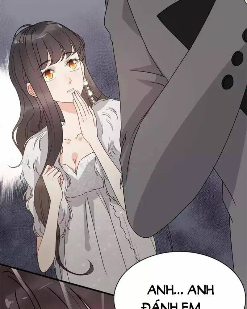 đọc truyện Cô Vợ Hợp Đồng Bỏ Trốn Của Tổng Giám Đốc Chương 231 ảnh 62 tại Thiên Thai Truyện