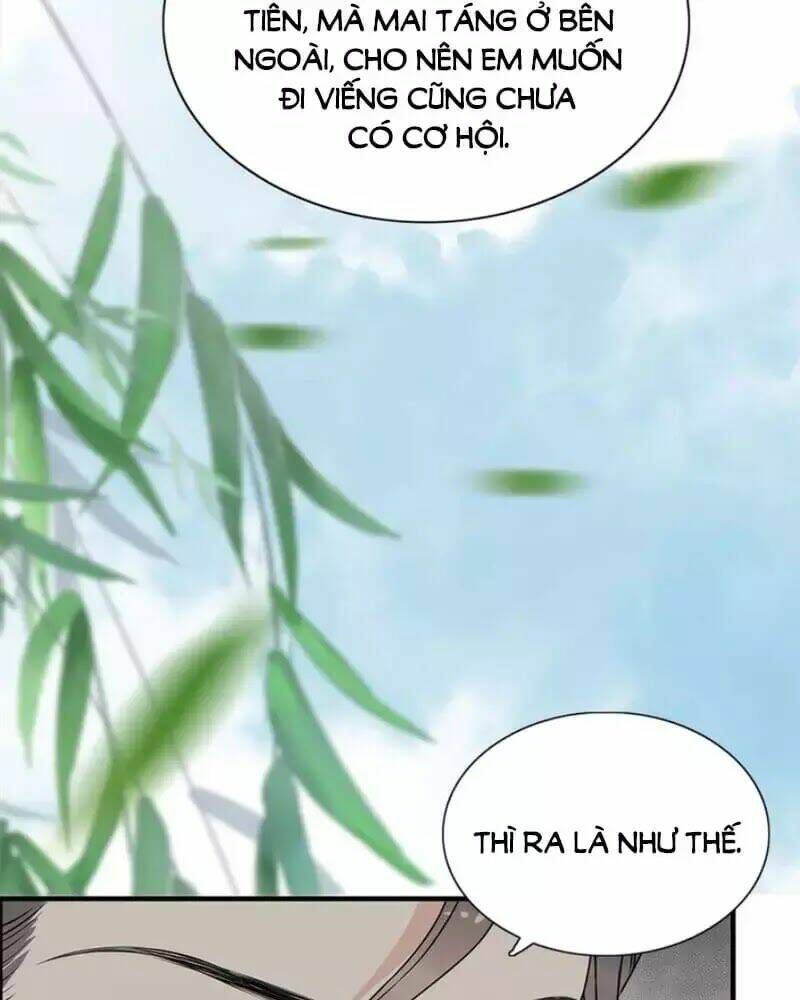 đọc truyện Cô Vợ Hợp Đồng Bỏ Trốn Của Tổng Giám Đốc Chương 231 ảnh 10 tại Thiên Thai Truyện