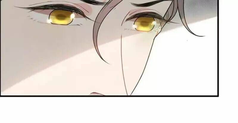 đọc truyện Cô Vợ Hợp Đồng Bỏ Trốn Của Tổng Giám Đốc Chương 231 ảnh 11 tại Thiên Thai Truyện