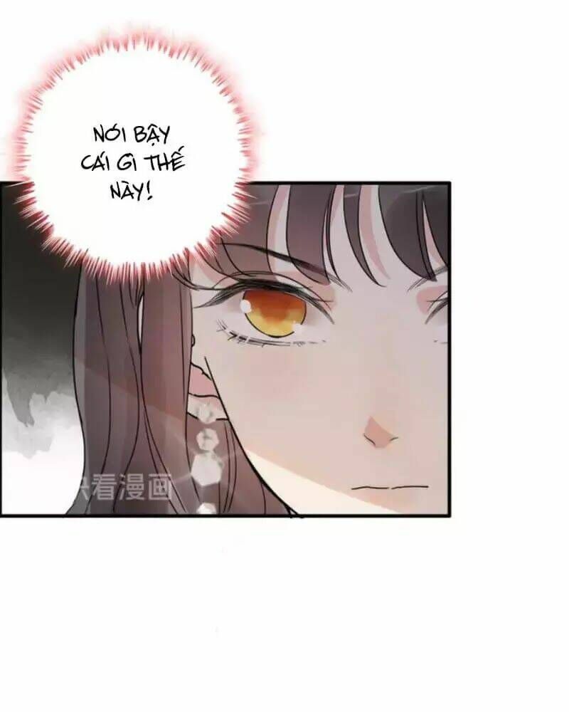 đọc truyện Cô Vợ Hợp Đồng Bỏ Trốn Của Tổng Giám Đốc Chương 233 ảnh 13 tại Thiên Thai Truyện