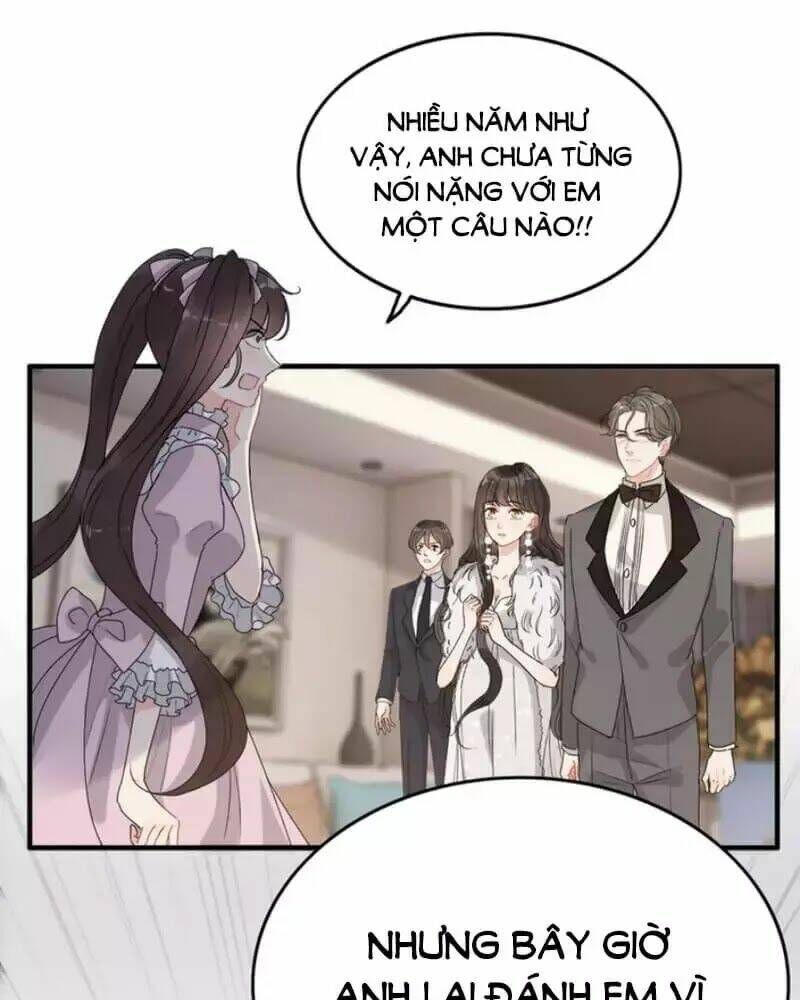 đọc truyện Cô Vợ Hợp Đồng Bỏ Trốn Của Tổng Giám Đốc Chương 233 ảnh 9 tại Thiên Thai Truyện