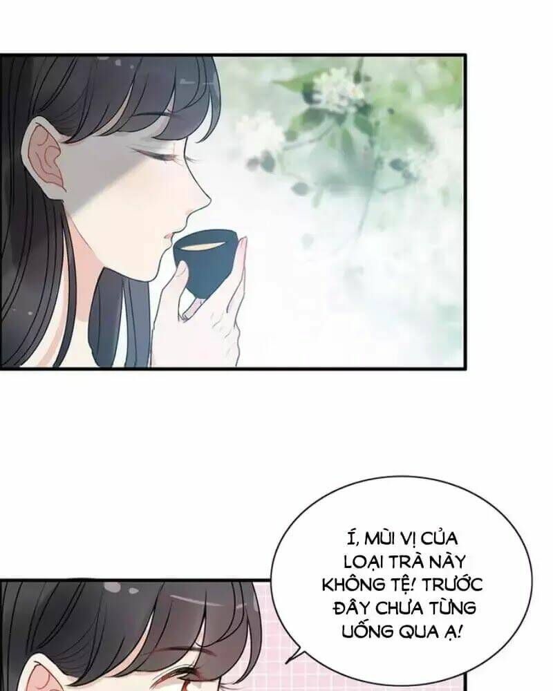 đọc truyện Cô Vợ Hợp Đồng Bỏ Trốn Của Tổng Giám Đốc Chương 236 ảnh 18 tại Thiên Thai Truyện