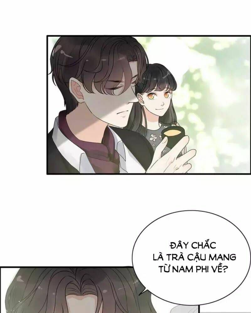 đọc truyện Cô Vợ Hợp Đồng Bỏ Trốn Của Tổng Giám Đốc Chương 236 ảnh 20 tại Thiên Thai Truyện