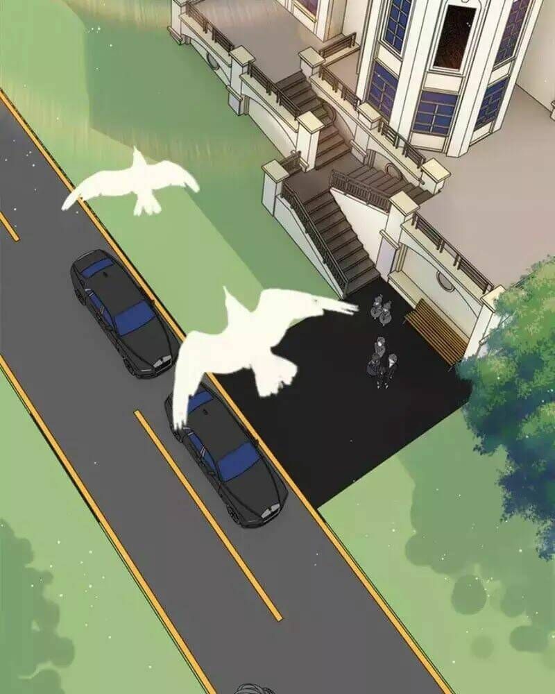 đọc truyện Cô Vợ Hợp Đồng Bỏ Trốn Của Tổng Giám Đốc Chương 236 ảnh 39 tại Thiên Thai Truyện