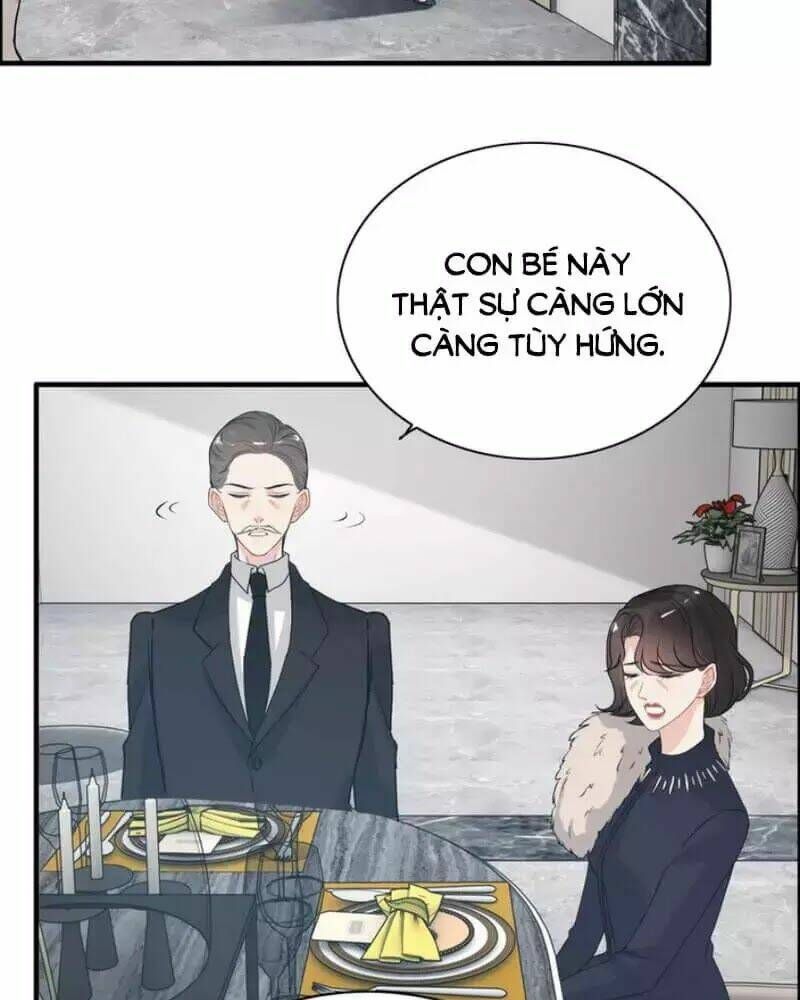 đọc truyện Cô Vợ Hợp Đồng Bỏ Trốn Của Tổng Giám Đốc Chương 237 ảnh 19 tại Thiên Thai Truyện