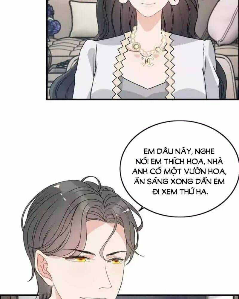 đọc truyện Cô Vợ Hợp Đồng Bỏ Trốn Của Tổng Giám Đốc Chương 237 ảnh 24 tại Thiên Thai Truyện