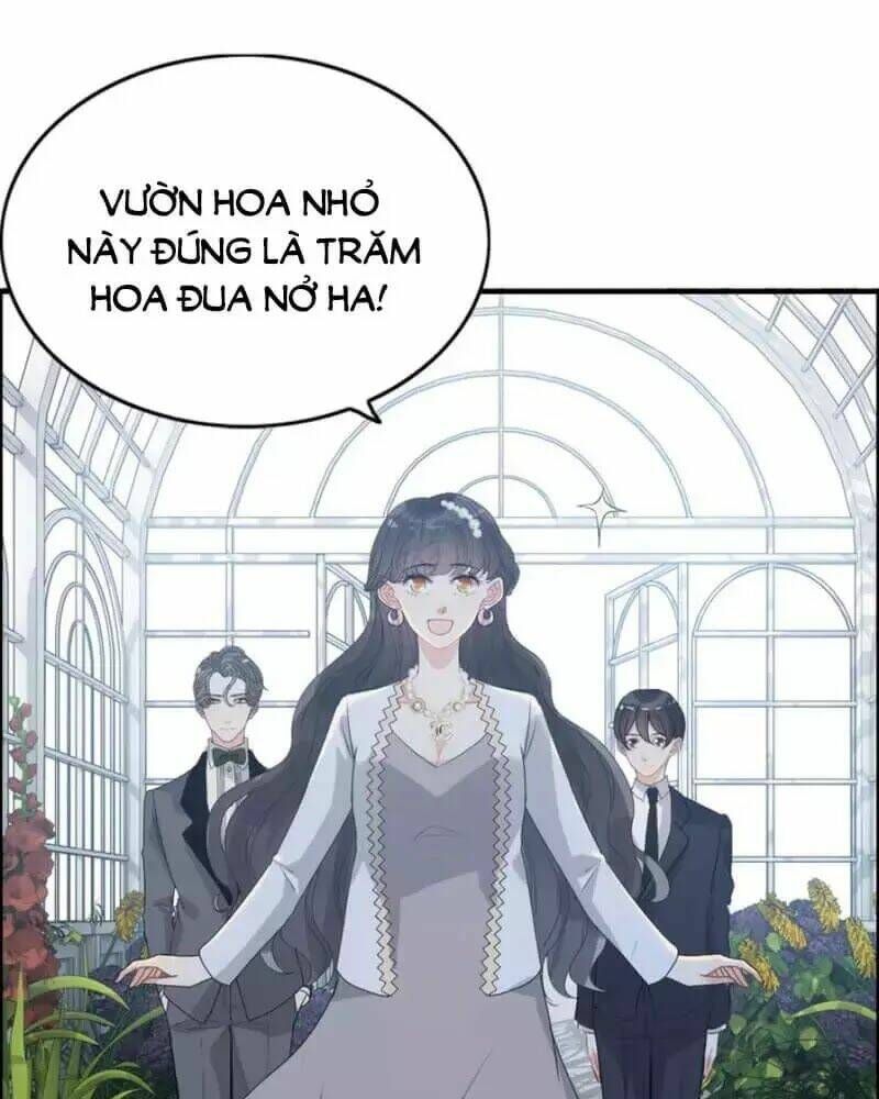 đọc truyện Cô Vợ Hợp Đồng Bỏ Trốn Của Tổng Giám Đốc Chương 237 ảnh 31 tại Thiên Thai Truyện