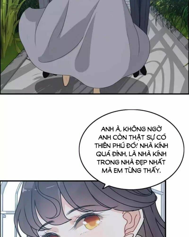 đọc truyện Cô Vợ Hợp Đồng Bỏ Trốn Của Tổng Giám Đốc Chương 237 ảnh 32 tại Thiên Thai Truyện