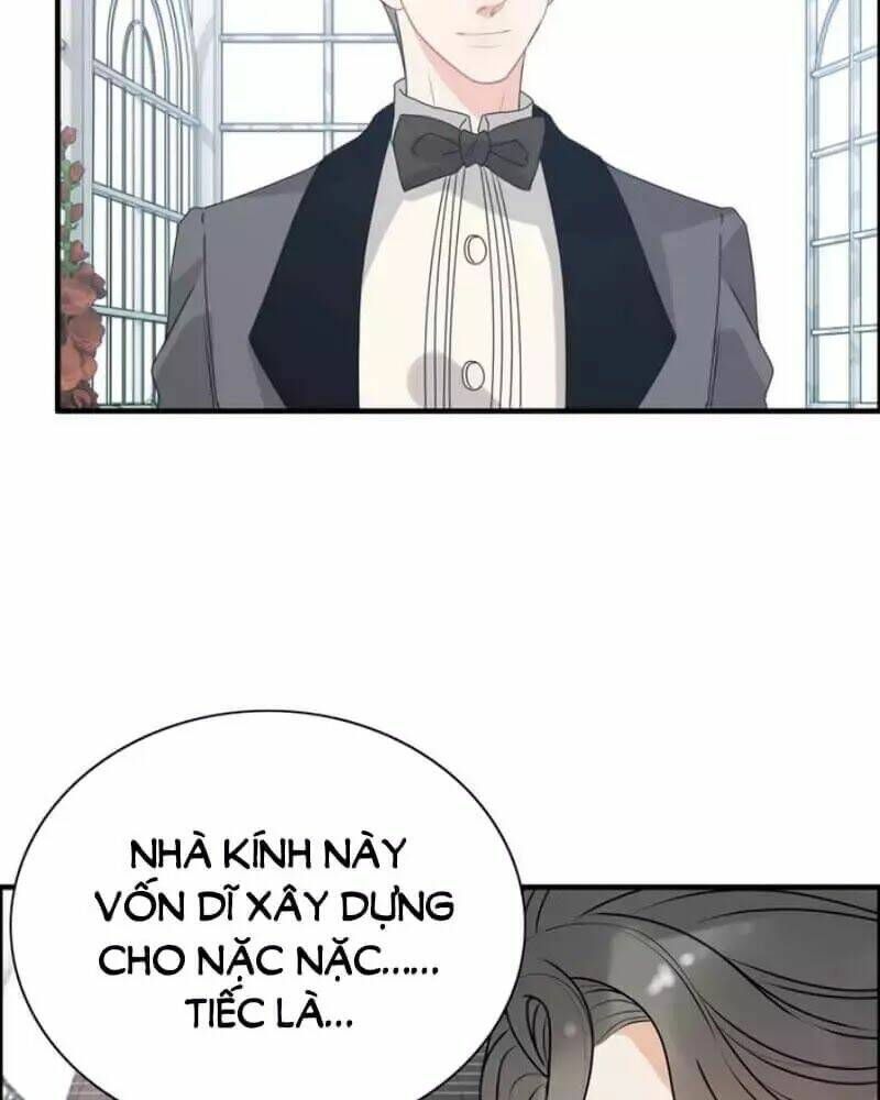 đọc truyện Cô Vợ Hợp Đồng Bỏ Trốn Của Tổng Giám Đốc Chương 237 ảnh 34 tại Thiên Thai Truyện