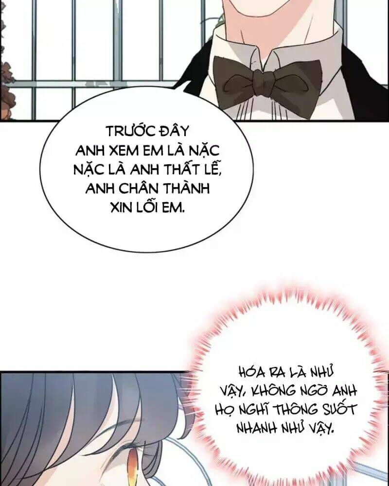 đọc truyện Cô Vợ Hợp Đồng Bỏ Trốn Của Tổng Giám Đốc Chương 237 ảnh 39 tại Thiên Thai Truyện