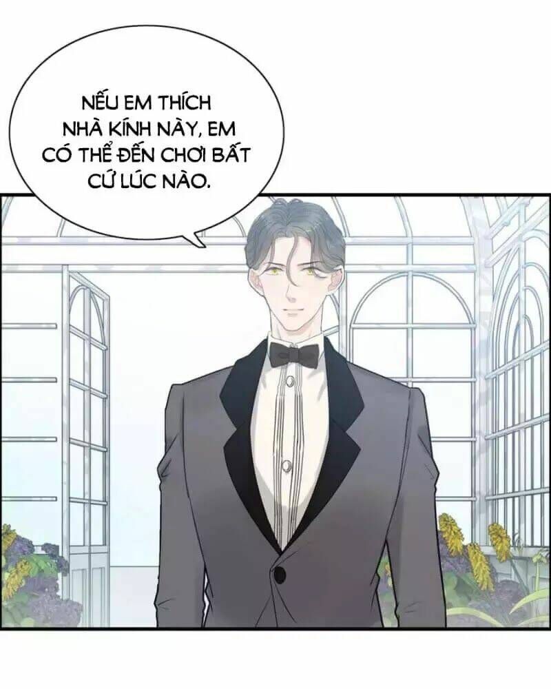 đọc truyện Cô Vợ Hợp Đồng Bỏ Trốn Của Tổng Giám Đốc Chương 237 ảnh 41 tại Thiên Thai Truyện