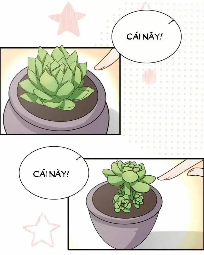 đọc truyện Cô Vợ Hợp Đồng Bỏ Trốn Của Tổng Giám Đốc Chương 237 ảnh 63 tại Thiên Thai Truyện