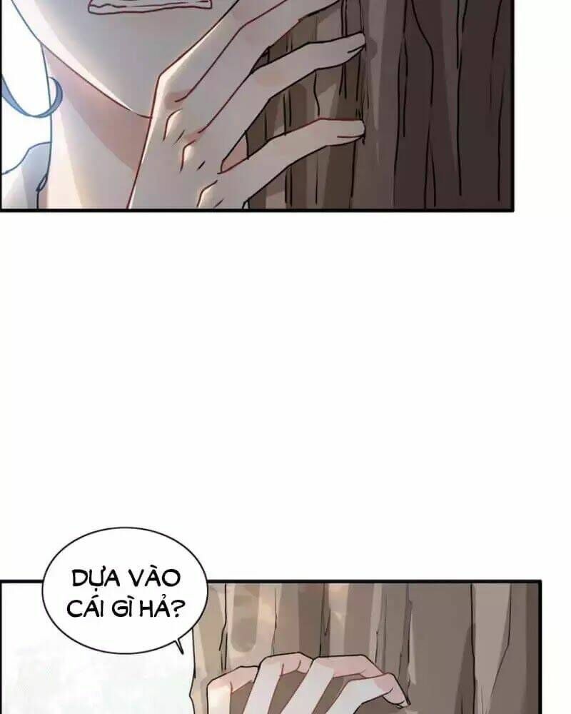 đọc truyện Cô Vợ Hợp Đồng Bỏ Trốn Của Tổng Giám Đốc Chương 237 ảnh 73 tại Thiên Thai Truyện