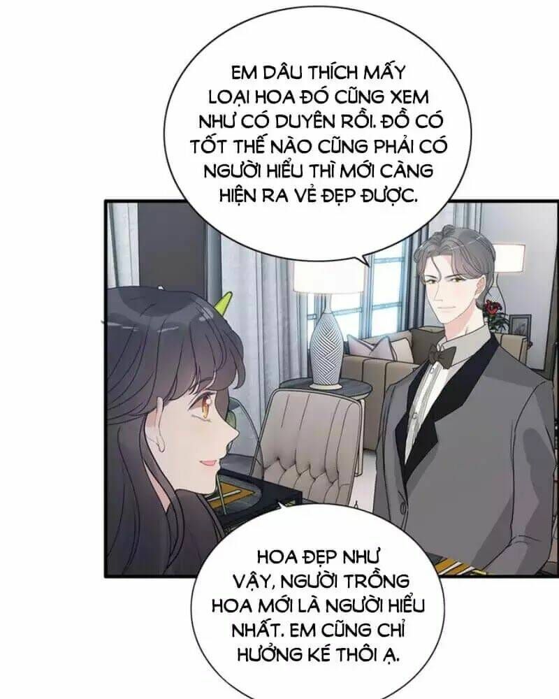 đọc truyện Cô Vợ Hợp Đồng Bỏ Trốn Của Tổng Giám Đốc Chương 238 ảnh 23 tại Thiên Thai Truyện