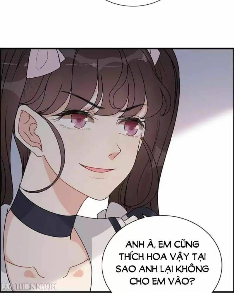 đọc truyện Cô Vợ Hợp Đồng Bỏ Trốn Của Tổng Giám Đốc Chương 238 ảnh 24 tại Thiên Thai Truyện