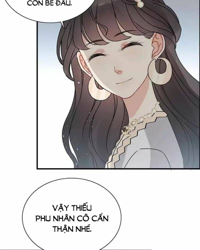 đọc truyện Cô Vợ Hợp Đồng Bỏ Trốn Của Tổng Giám Đốc Chương 238 ảnh 55 tại Thiên Thai Truyện