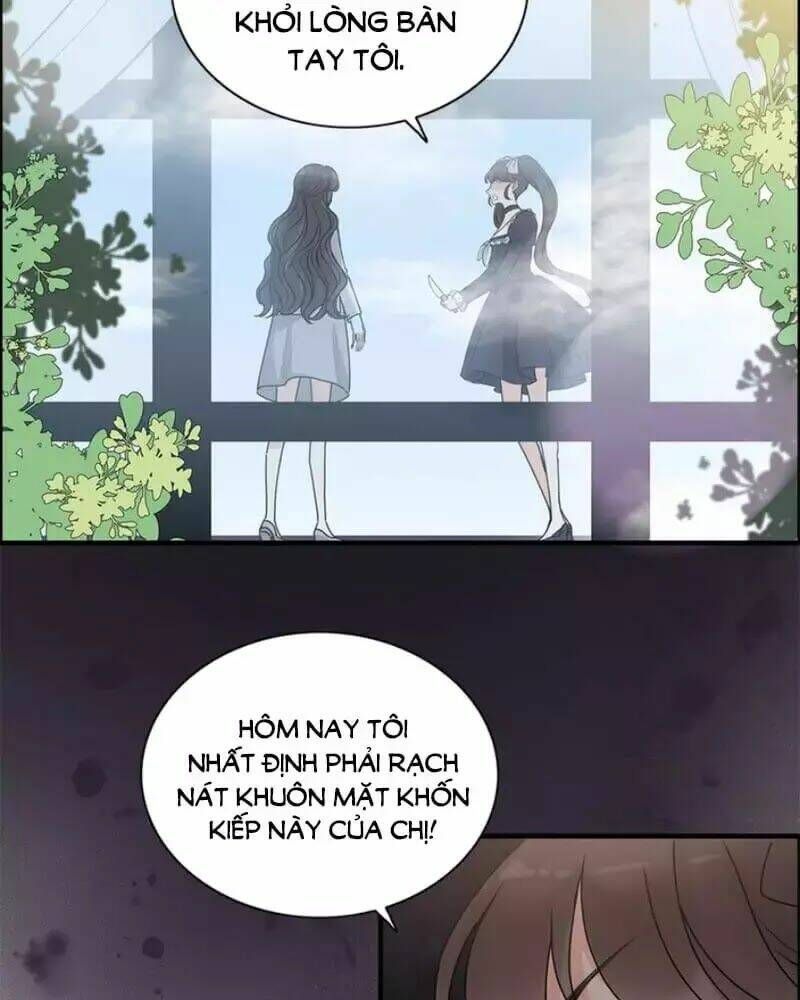 đọc truyện Cô Vợ Hợp Đồng Bỏ Trốn Của Tổng Giám Đốc Chương 239 ảnh 12 tại Thiên Thai Truyện