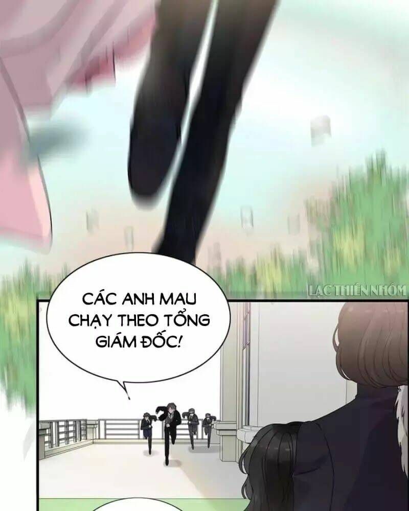 đọc truyện Cô Vợ Hợp Đồng Bỏ Trốn Của Tổng Giám Đốc Chương 239 ảnh 21 tại Thiên Thai Truyện