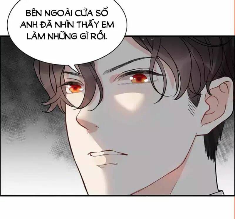 đọc truyện Cô Vợ Hợp Đồng Bỏ Trốn Của Tổng Giám Đốc Chương 239 ảnh 37 tại Thiên Thai Truyện