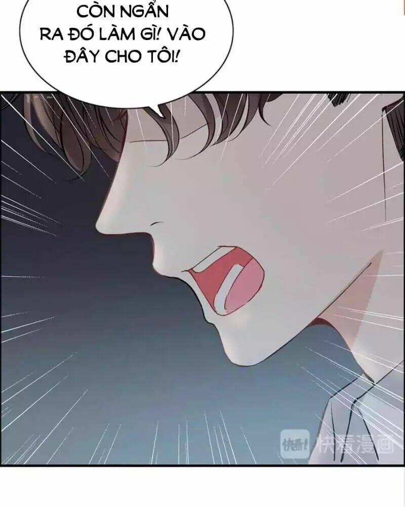 đọc truyện Cô Vợ Hợp Đồng Bỏ Trốn Của Tổng Giám Đốc Chương 239 ảnh 44 tại Thiên Thai Truyện