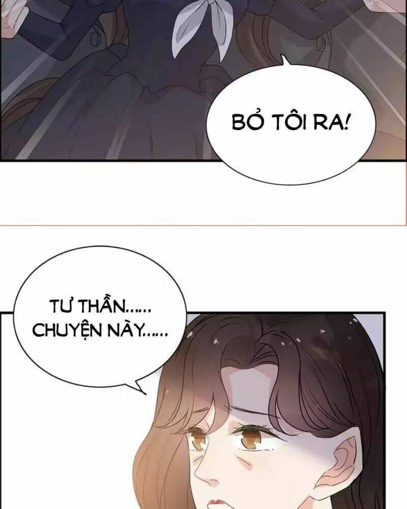 đọc truyện Cô Vợ Hợp Đồng Bỏ Trốn Của Tổng Giám Đốc Chương 239 ảnh 47 tại Thiên Thai Truyện