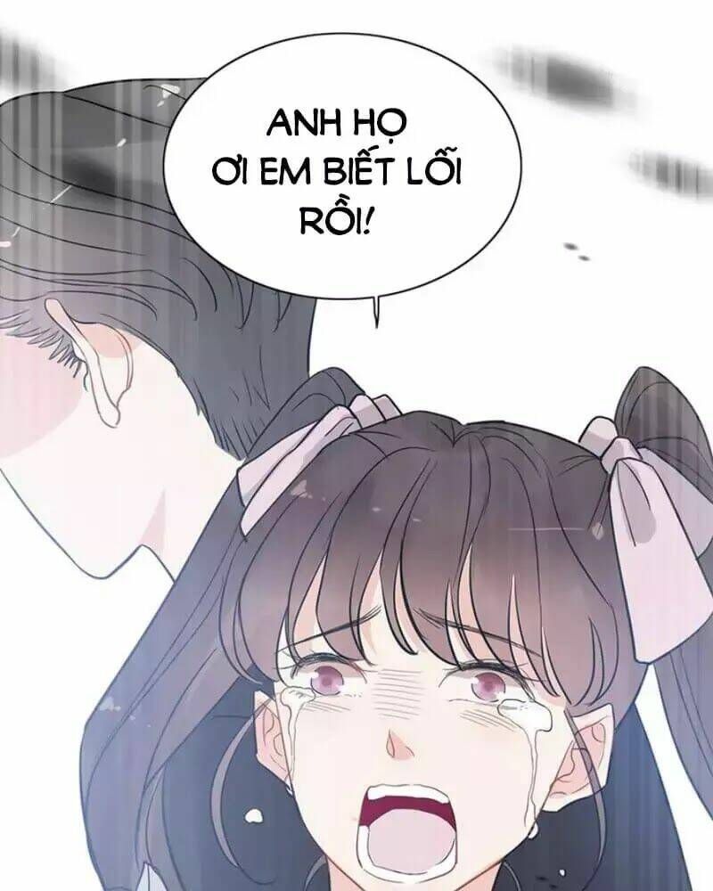 đọc truyện Cô Vợ Hợp Đồng Bỏ Trốn Của Tổng Giám Đốc Chương 239 ảnh 62 tại Thiên Thai Truyện