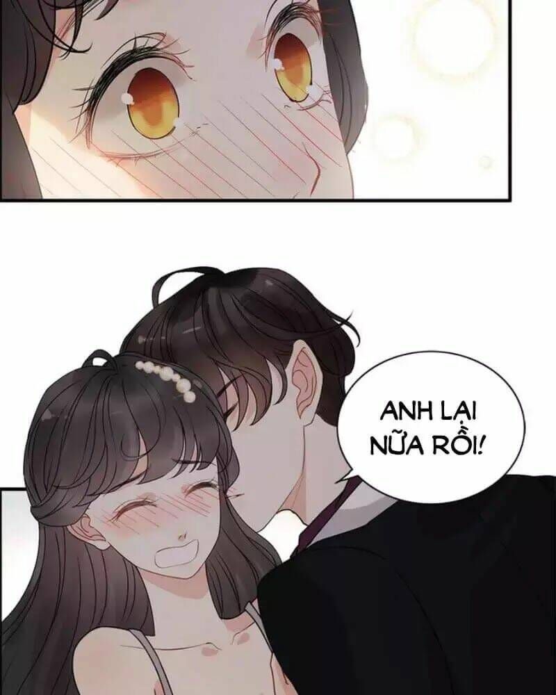 đọc truyện Cô Vợ Hợp Đồng Bỏ Trốn Của Tổng Giám Đốc Chương 240 ảnh 19 tại Thiên Thai Truyện