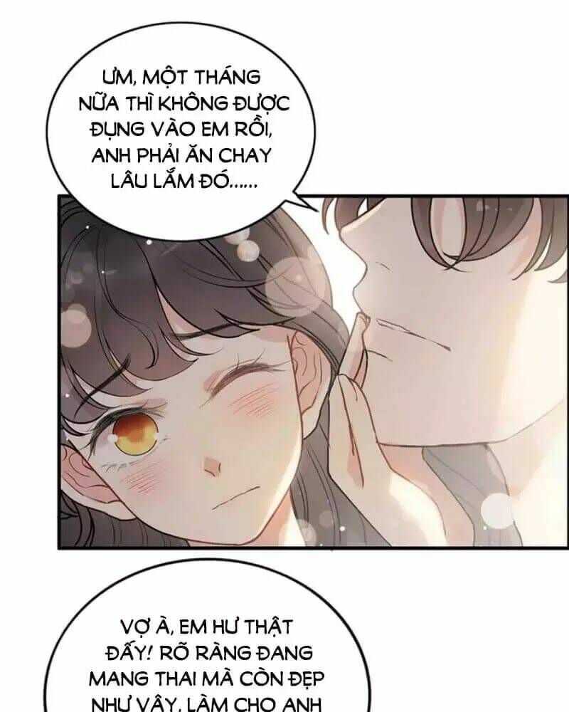 đọc truyện Cô Vợ Hợp Đồng Bỏ Trốn Của Tổng Giám Đốc Chương 240 ảnh 21 tại Thiên Thai Truyện