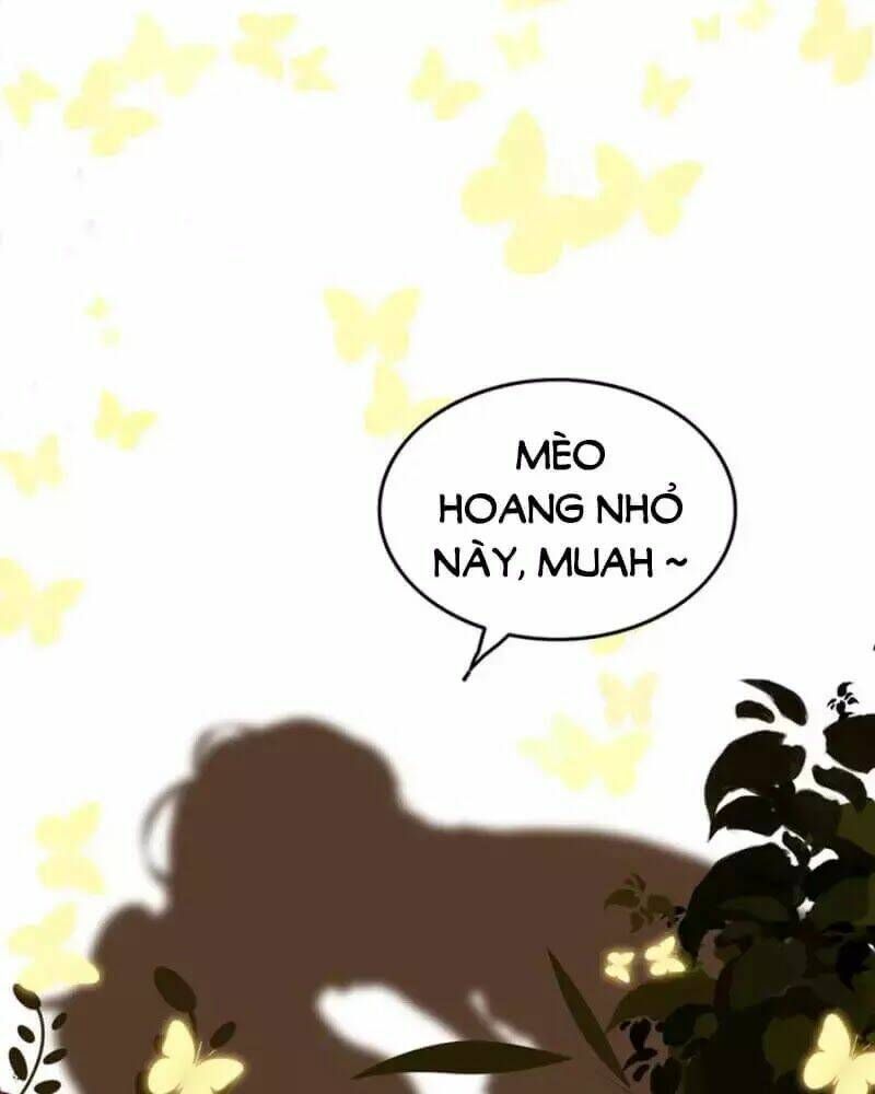 đọc truyện Cô Vợ Hợp Đồng Bỏ Trốn Của Tổng Giám Đốc Chương 240 ảnh 34 tại Thiên Thai Truyện