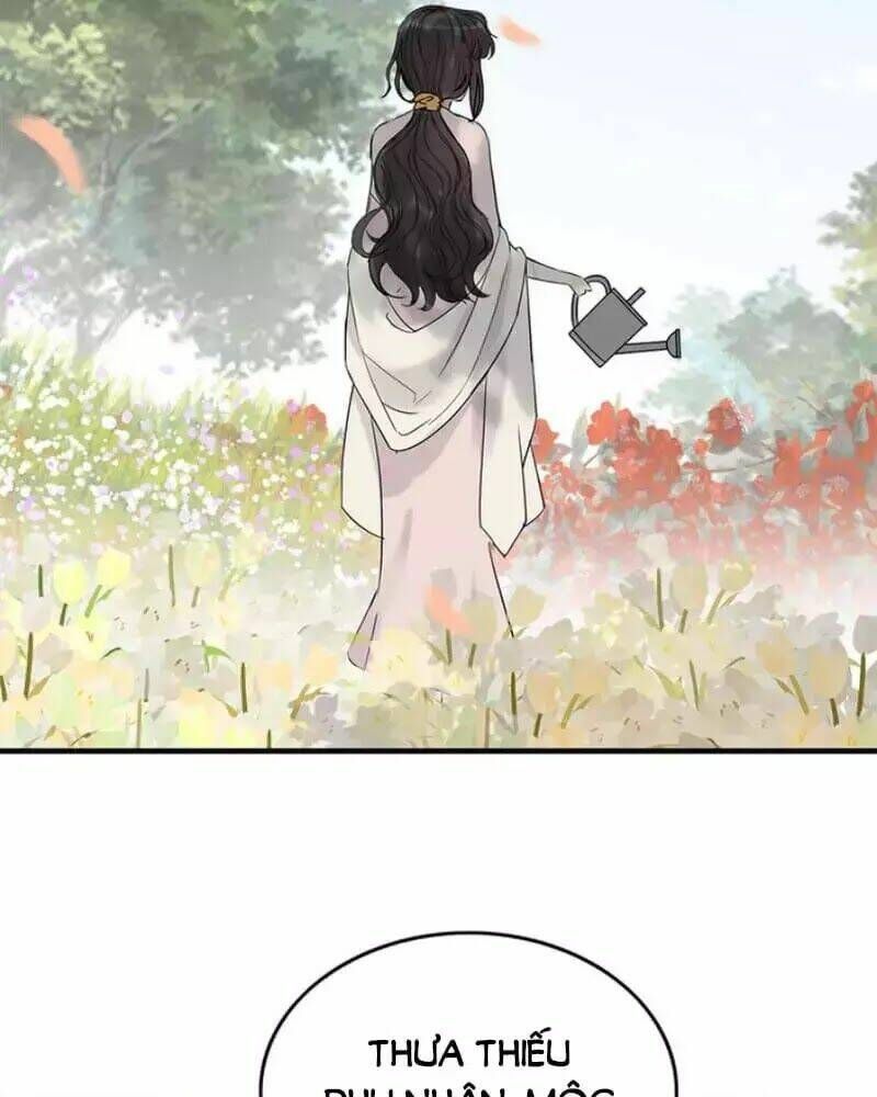 đọc truyện Cô Vợ Hợp Đồng Bỏ Trốn Của Tổng Giám Đốc Chương 240 ảnh 40 tại Thiên Thai Truyện