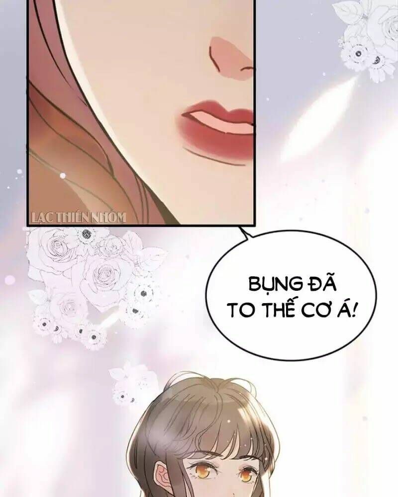 đọc truyện Cô Vợ Hợp Đồng Bỏ Trốn Của Tổng Giám Đốc Chương 240 ảnh 45 tại Thiên Thai Truyện