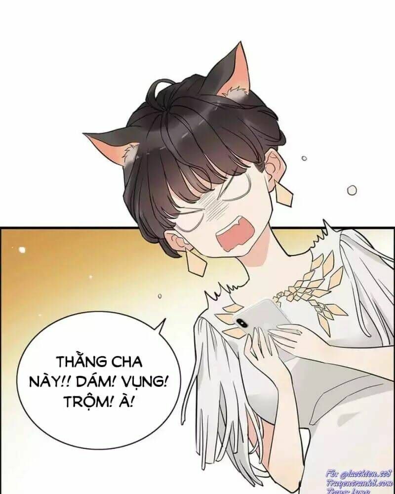 đọc truyện Cô Vợ Hợp Đồng Bỏ Trốn Của Tổng Giám Đốc Chương 241 ảnh 5 tại Thiên Thai Truyện