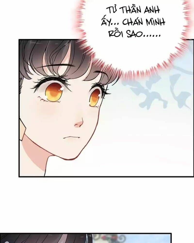 đọc truyện Cô Vợ Hợp Đồng Bỏ Trốn Của Tổng Giám Đốc Chương 241 ảnh 36 tại Thiên Thai Truyện