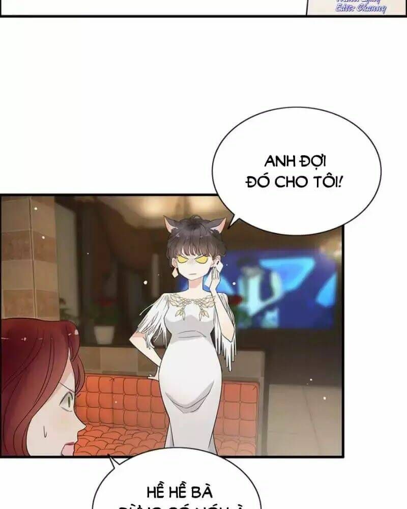 đọc truyện Cô Vợ Hợp Đồng Bỏ Trốn Của Tổng Giám Đốc Chương 241 ảnh 6 tại Thiên Thai Truyện