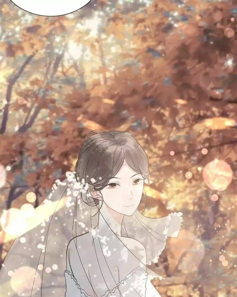 đọc truyện Cô Vợ Hợp Đồng Bỏ Trốn Của Tổng Giám Đốc Chương 242 ảnh 6 tại Thiên Thai Truyện