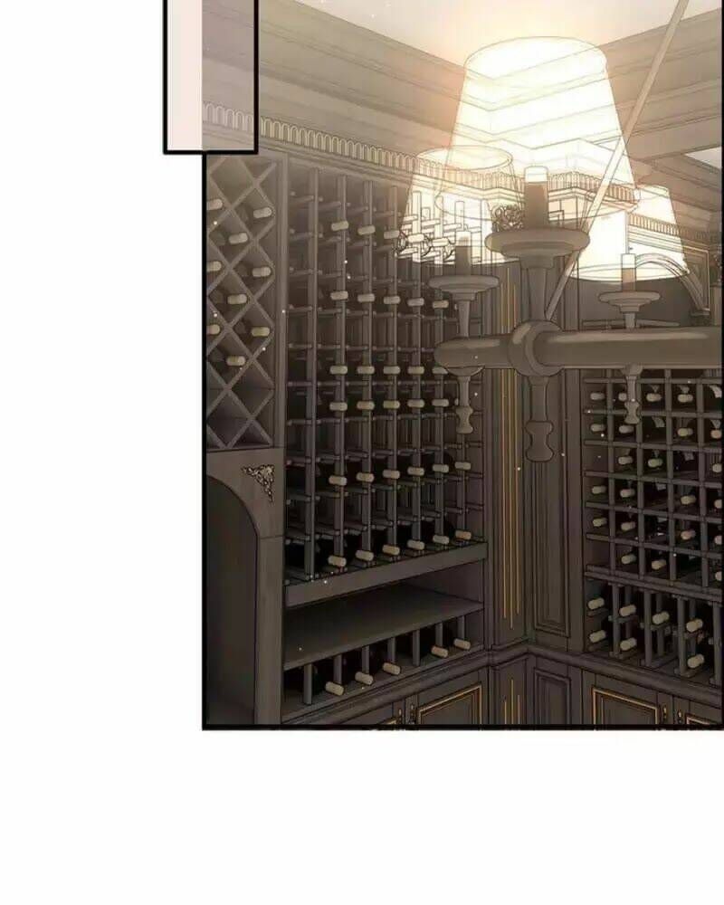 đọc truyện Cô Vợ Hợp Đồng Bỏ Trốn Của Tổng Giám Đốc Chương 242 ảnh 47 tại Thiên Thai Truyện