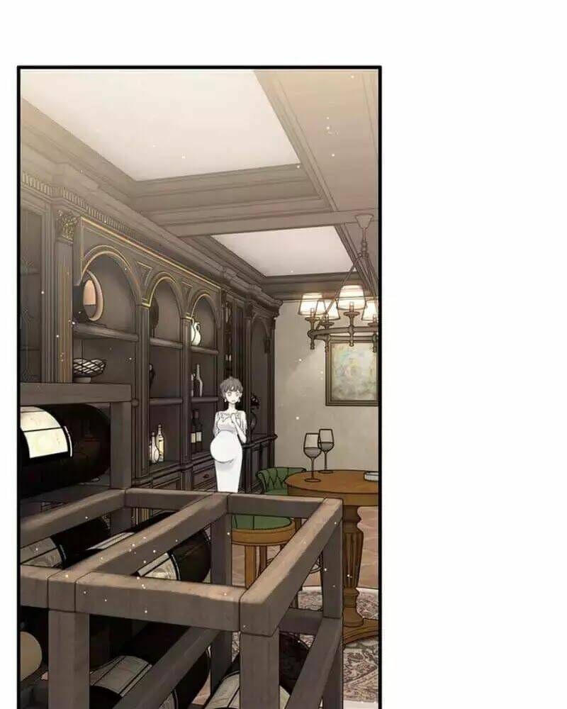 đọc truyện Cô Vợ Hợp Đồng Bỏ Trốn Của Tổng Giám Đốc Chương 242 ảnh 48 tại Thiên Thai Truyện