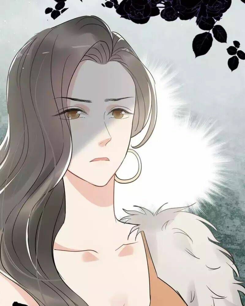 đọc truyện Cô Vợ Hợp Đồng Bỏ Trốn Của Tổng Giám Đốc Chương 242 ảnh 53 tại Thiên Thai Truyện