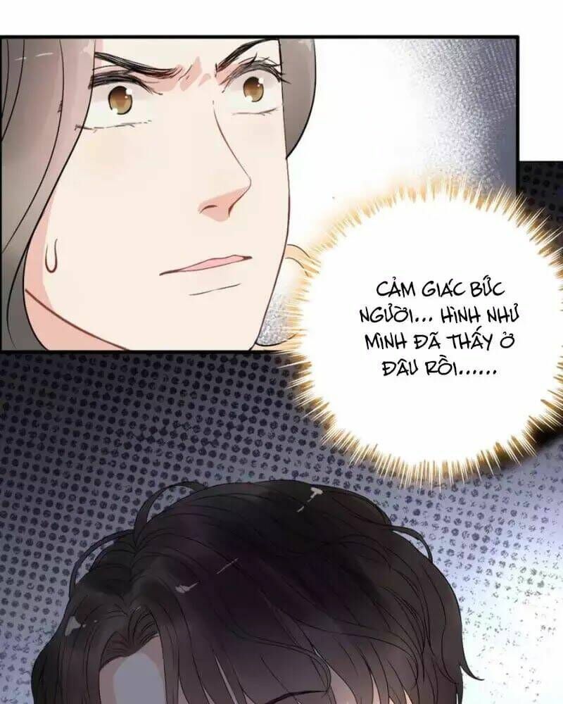 đọc truyện Cô Vợ Hợp Đồng Bỏ Trốn Của Tổng Giám Đốc Chương 243 ảnh 26 tại Thiên Thai Truyện