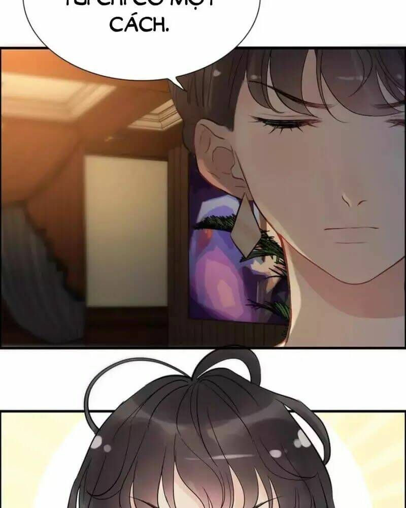 đọc truyện Cô Vợ Hợp Đồng Bỏ Trốn Của Tổng Giám Đốc Chương 244 ảnh 66 tại Thiên Thai Truyện