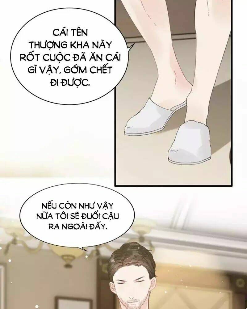 đọc truyện Cô Vợ Hợp Đồng Bỏ Trốn Của Tổng Giám Đốc Chương 245 ảnh 20 tại Thiên Thai Truyện