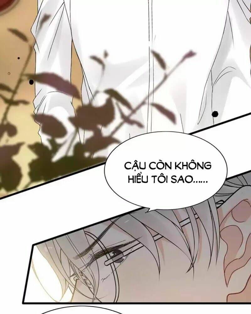 đọc truyện Cô Vợ Hợp Đồng Bỏ Trốn Của Tổng Giám Đốc Chương 245 ảnh 36 tại Thiên Thai Truyện