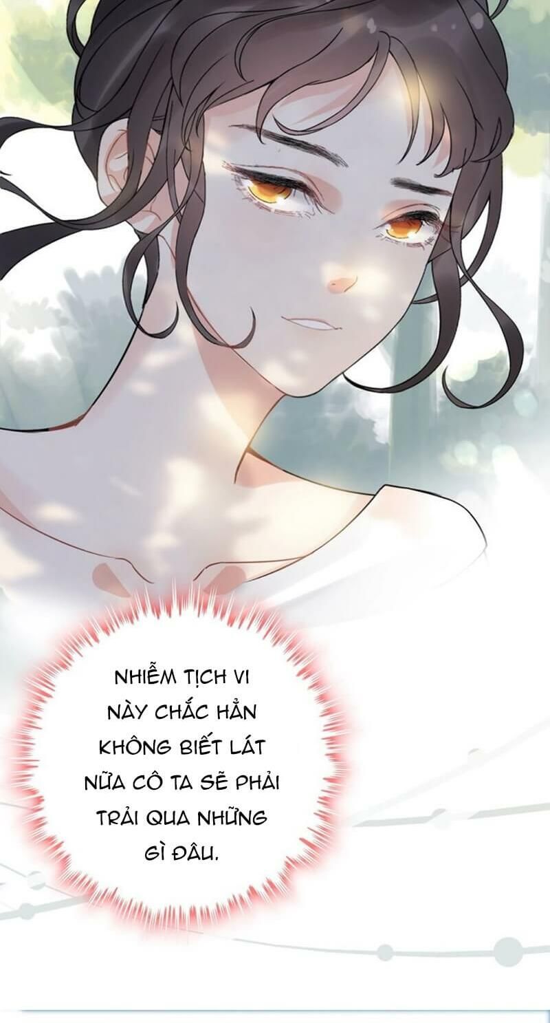 đọc truyện Cô Vợ Hợp Đồng Bỏ Trốn Của Tổng Giám Đốc Chương 246 ảnh 33 tại Thiên Thai Truyện