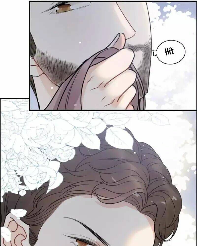 đọc truyện Cô Vợ Hợp Đồng Bỏ Trốn Của Tổng Giám Đốc Chương 249 ảnh 44 tại Thiên Thai Truyện