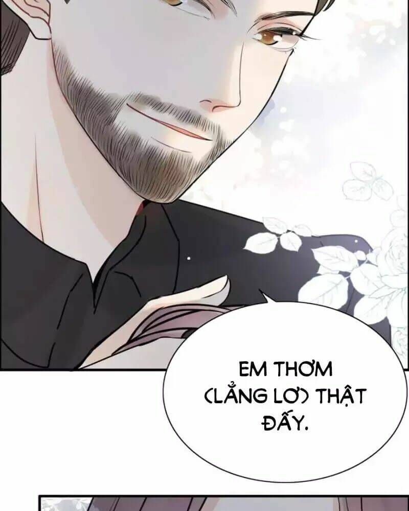 đọc truyện Cô Vợ Hợp Đồng Bỏ Trốn Của Tổng Giám Đốc Chương 249 ảnh 45 tại Thiên Thai Truyện