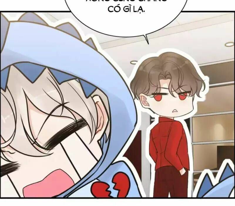 đọc truyện Cô Vợ Hợp Đồng Bỏ Trốn Của Tổng Giám Đốc Chương 249 ảnh 61 tại Thiên Thai Truyện